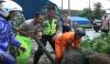 Hujan Lebat Disertai Angin Kencang, Puluhan Pohon Tumbang di Jalan Pantura Demak