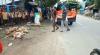10 Orang Tewas karena Rabies, Warga Dompu Bantai Ribuan Anjing Liar