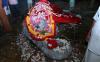 Gajah yang Diyakini Tertua di Dunia Mati di Usia 88 Tahun