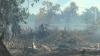 Kebakaran Hutan di Dumai Telah Mencapai 70 Hektare