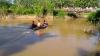 Asyik Memancing Ikan di Sungai, PNS di Konawe Sultra Diterkam Buaya