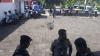 Geger, Showroom Motor di Wates Kulonprogo Ditembaki OTK