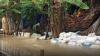Sungai Cimanuk Meluap, Banjir Rendam Ribuan Rumah 3 Desa di Indramayu