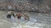 Petugas Satpol PP Terjun ke Sungai Tangkap Orang Gila di Kendal