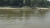 Sungai Bengawan Solo Berubah Warna dan Bau, Diduga Tercemar Limbah Potong Hewan