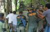 Beruang Madu Kerap Muncul di Ladang, Warga Mandailing Natal Minta BTBG Tangkap dan Evakuasi 