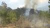 Hutan Gunung Lawu di Karanganyar Terbakar, Diduga Akibat Ulah Manusia