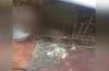 Video Viral 6 Anak Anjing Pitbull Melepuh Disiram Cairan Kimia
