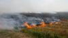 Tertangkap Tangan Bakar Hutan, 6 Petani di Sumsel Ditangkap Polisi