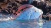 Penjelasan BMKG tentang Kemunculan Oarfish Dikaitkan Pertanda Gempa dan Tsunami