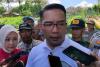 Ridwan Kamil soal Pemulangan ISIS: Kewenangan Pemerintah Pusat