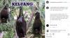 Ustaz Abdul Somad Cerita Makan Kelelawar di Akun Instagram