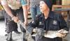 Buaya Muara Ditangkap di Sungai Progo Sleman dengan Mulut Dilakban