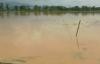Banjir Rendam 1.620 Hektare Sawah, Produksi Padi di Majalengka Terganggu