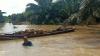 Lahan Terendam Banjir, Petani di Musi Banyuasin Panen Sawit Pakai Perahu