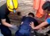 Detik-Detik Petugas Damkar Dililit Ular Sanca 4 Meter di Bandar Lampung