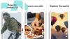 Perusahaan Induk TikTok Siap Saingi Google dan Facebook di Pasar Global