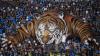 Persib Gagal Juarai Piala Menpora, Bobotoh Ngamuk