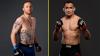Presiden UFC: Justin Gaethje Vs Tony Ferguson Digelar di Pulau Pribadi
