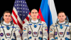 Ilmuwan Temukan Otak Astronot Membesar dalam Kondisi Mikrogravitasi