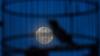 Penampakan Supermoon Terakhir Tahun 2020 di Langit Jakarta - Bagian 1