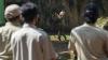 Aksi 2 Harimau Sumatera saat Siaran Langsung dari Taman Margasatwa Ragunan - Bagian 2