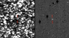 Astronom Mendeteksi Asteroid dengan Ekor Mirip Komet