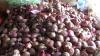 Jelang Hari Raya Idul Adha, Harga Bawang Merah di Ambon Justru Turun