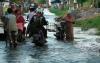 Banjir Rob di Kendal Rendam Puluhan Rumah, Aktivitas Warga Terganggu