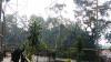3 Zona di Taman Margasatwa Kinantan Bukittinggi Ditutup, Ini Alasannya