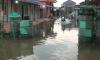 Banjir Rob Rendam Ratusan Rumah di Kaliwungu Kendal, Tambak Bandeng Rusak