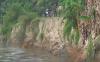 Petani 3 Desa di Batubara Takut Menanam Padi karena Tanggul Jebol
