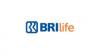 BRI Life Raih Penghargaan British Standards Institution, Apa Itu?   