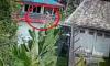 Pengakuan Ayah di Medan yang Bunuh 2 Anak Tiri usai Ditangkap Polisi: Saya Menyesal