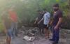 Viral di Medsos, 4 Penganiaya Hewan di Bali hingga Mati Ditangkap