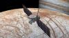 SpaceX Berpotensi Bantu NASA untuk Misi ke Bulan Jupiter