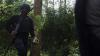 Polres Cimahi Temukan 1 Hektare Ladang Ganja di Bandung, Sekali Panen 40 Kg - Bagian 2