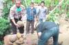 Video Warga Pasaman Temukan 2 Ton Peluru Meriam, Diduga Milik Pasukan Imam Bonjol