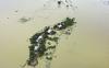 Hujan Deras Akibat Cuaca Ekstrem Sebabkan Banjir di Sepertiga Wilayah Bangladesh