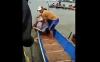 Perahu Terbalik Dihantam Ombak di Danau Tempe Soppeng, 3 Pemuda Tewas