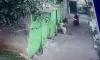 Video Nenek Dijambret 2 Pemuda di Tangsel, Pelaku Terekam CCTV