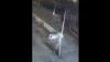 Maling Rumah Beraksi di Jember, Aksi Terekam Kamera CCTV