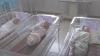 Hari Kemerdekaan 17 Agustus, 3 Bayi Laki-Laki Lahir di Medan