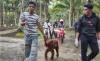 Polisi Evakuasi Bayi Orangutan dari Rumah Warga di Mempawah