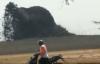 Kawah Lumpur di Kesongo Blora Meletus, 4 Orang Keracunan, 17 Kerbau Terkubur