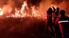 Sulit Dipadamkan, 12 Hektare Lahan di Ogan Ilir Terbakar