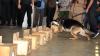 BNN Kerahkan Anjing Pelacak Cari Narkoba - Bagian 2