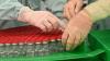 WHO: Vaksin Covid-19 Bagi Orang Usia Muda Baru Akan Tersedia pada 2022
