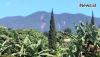 Misteri Kampung Mati di Gunung Salak, Perkampungan Tak Kasat Mata yang Sering ‘Memakan Korban’