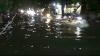 Hujan Lebat di Bojonegoro Sebabkan Banjir dan Pohon Tumbang